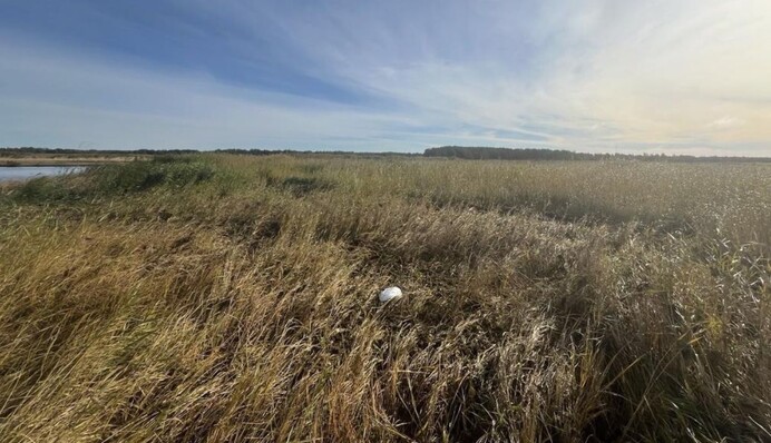 В Естонії знайшли уламок дрона 