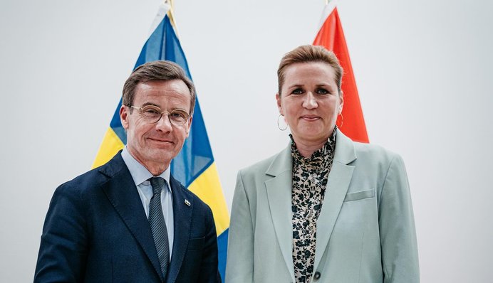 Саммит ЕС: Франция и Швеция отправили в Копенгаген войска для борьбы с дронами