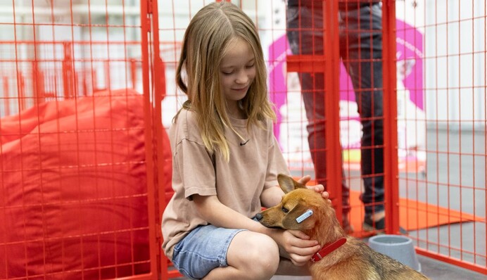 UAnimals підтримав тваринок із затоплених притулків в Одесі: всі чотирилапі врятові