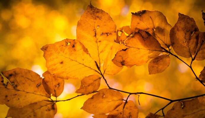 От летних +21 до 