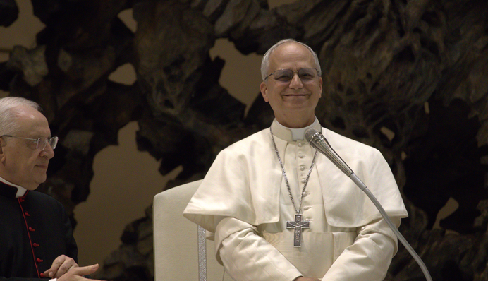 Папа Лев XIV совершит свой первый зарубежный визит: какие страны он посетит