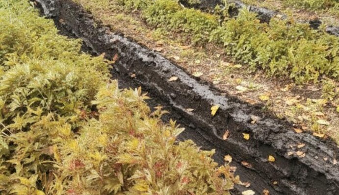 Партизани допомогли знищити вузол зв'язку росіян на Запорізькому напрямку