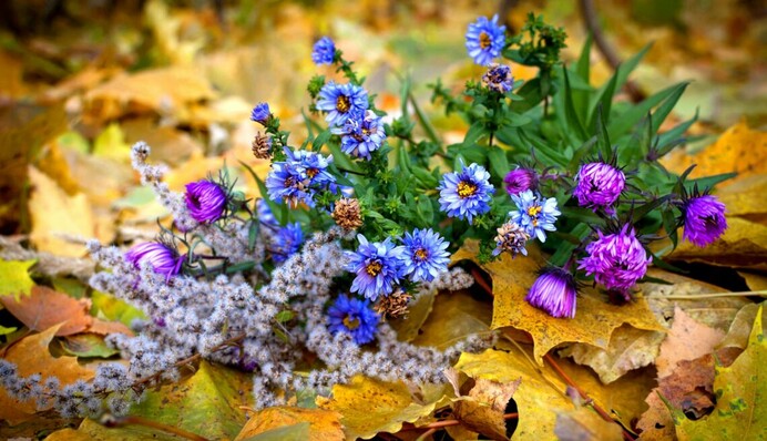 Коли припиняться дощі і повернеться тепло - синоптики назвали дати