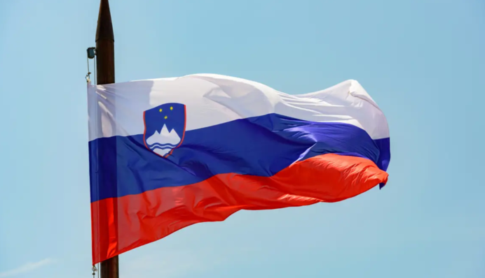 Словения присоединится к программе PURL: сколько средств выделят для ВСУ