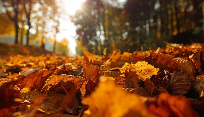 Температура повысится до +24: в Украину идет 