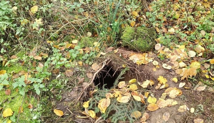 Польша сообщила о найденном тоннеле вблизи границы с Беларусью