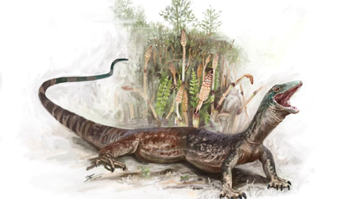 Суміш змії та ящірки: у Шотландії знайшли загадкову рептилію, що жила тут в часи динозаврів