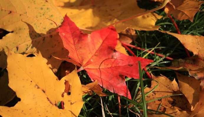 Будет еще одно 