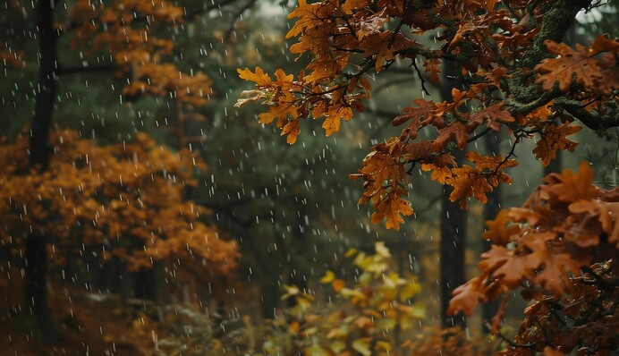 Потепление придет с дождями и грозами: прогноз Укргидрометцентра