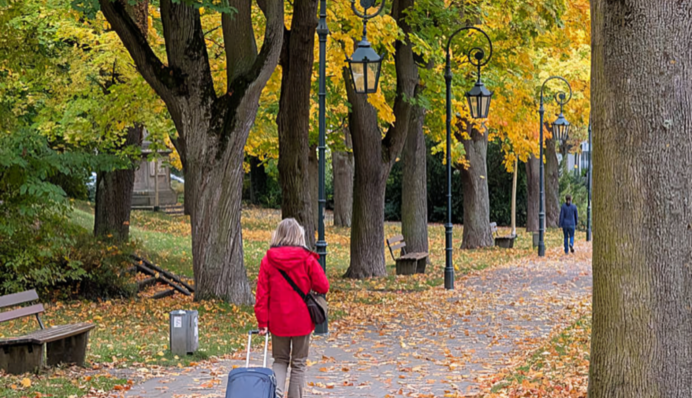 Туризм в Украине: поступления туристического сбора превысили довоенный уровень
