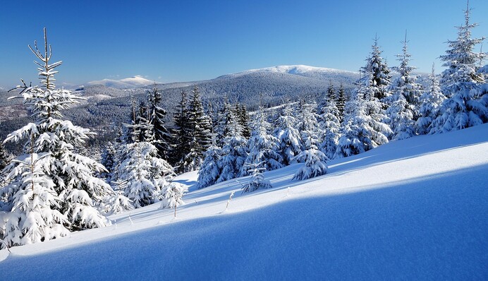 Какой будет зима 2025-2026: в Укргидрометцентре дали первый прогноз