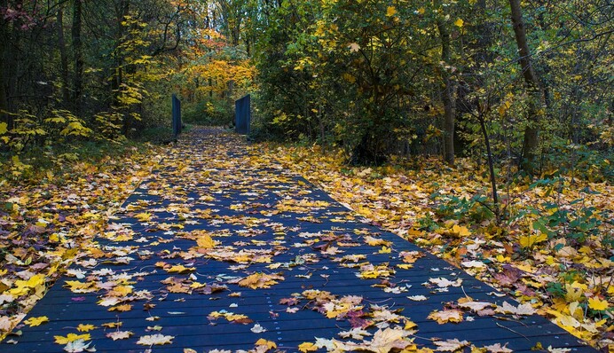 30 жовтня — все про цей день: свята, події, традиції