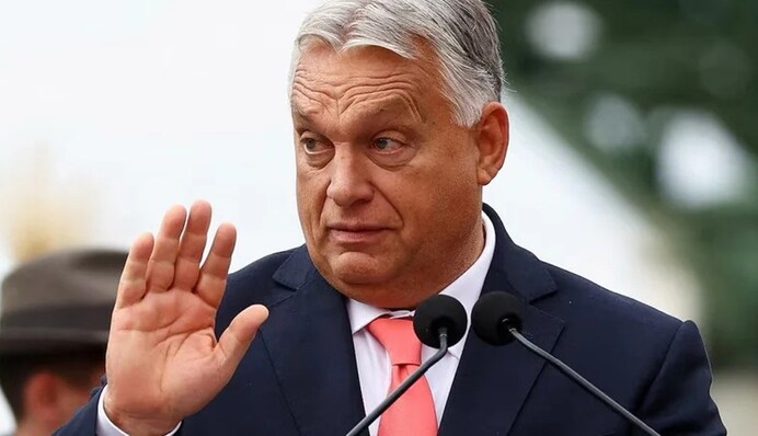 Польский премьер попал под критику венгерского лидера в социальных сетях