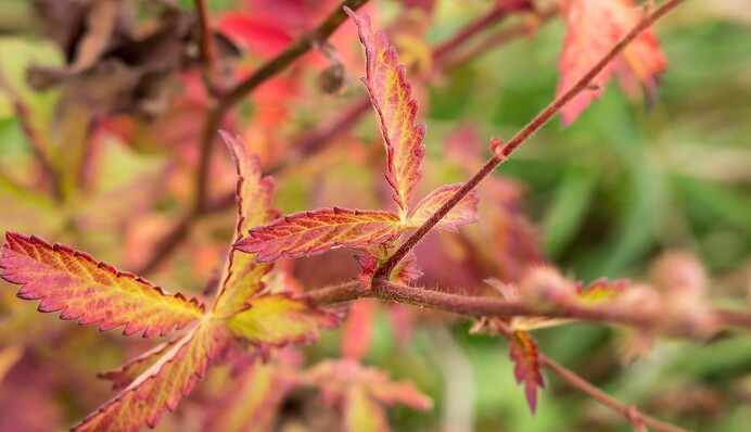 4 листопада — яке сьогодні церковне свято, кому моляться цього дня, традиції та прикмети