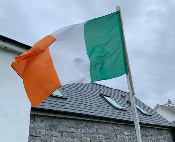 Ирландия сократит срок проживания в государственном жилье для новых беженцев из Украины