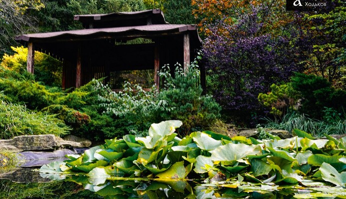 6 ноября — какой сегодня церковный праздник, история, традиции и приметы