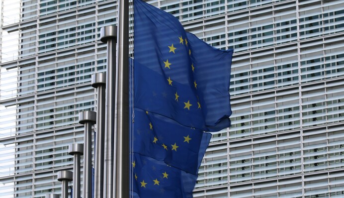 Грузія звинуватила Україну в створенні перешкод на її шляху до ЄС