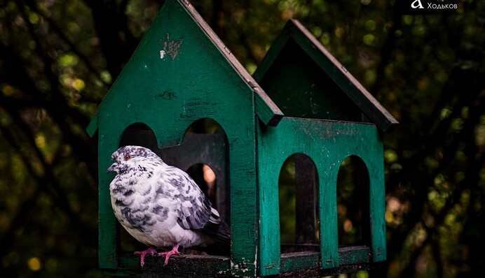 7 листопада — все про цей день: свята, події, традиції