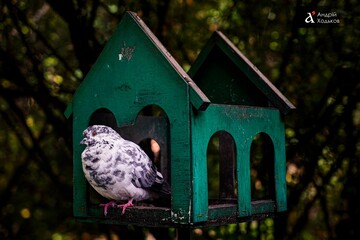 7 листопада — все про цей день: свята, події, традиції