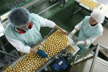 Участники вооруженных формирований на востоке Украины могут попасть под амнистию