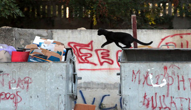 Nissan отзывает 226 тыс. автомобилей в США