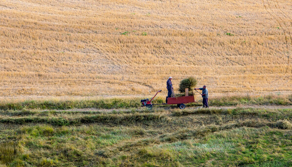 Украина запретила ввоз свинины из Польши