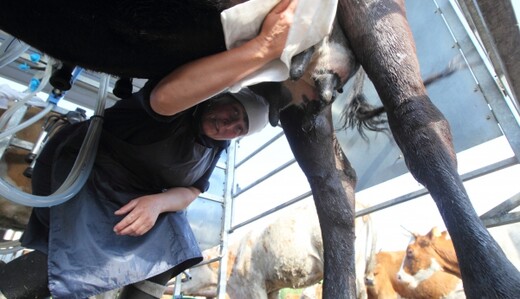 Ввести нельзя отменить