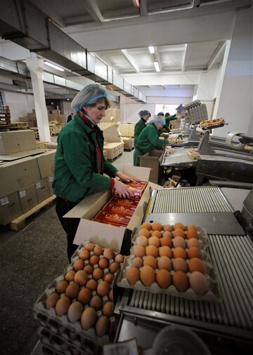 Яйца показали себя с неожиданной стороны