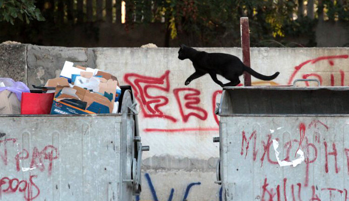 Мусор попал в обращение