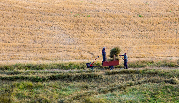 Правительство готовится к земле