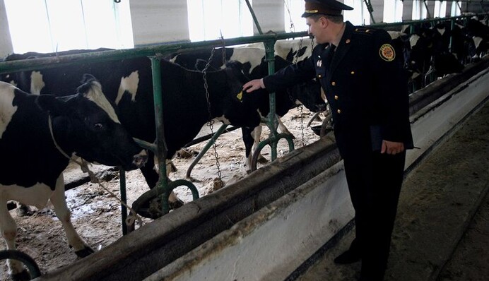 «Чиновники ведут себя так, как будто работают последний день»