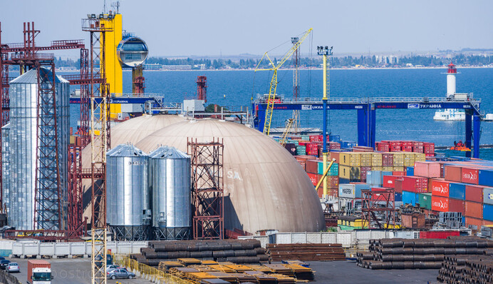 Карантин зерну голова