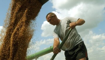 Аграрии повернулись к экономике лицом