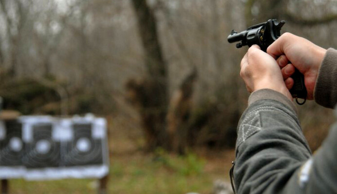 Верховная рада применяет оружие