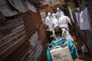 ВОЗ отчиталась о распространении вируса Эбола в мире