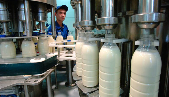 Украинский рынок молочной продукции надеется на экспорт
