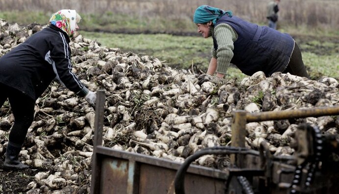 Аграриям приходится несладко
