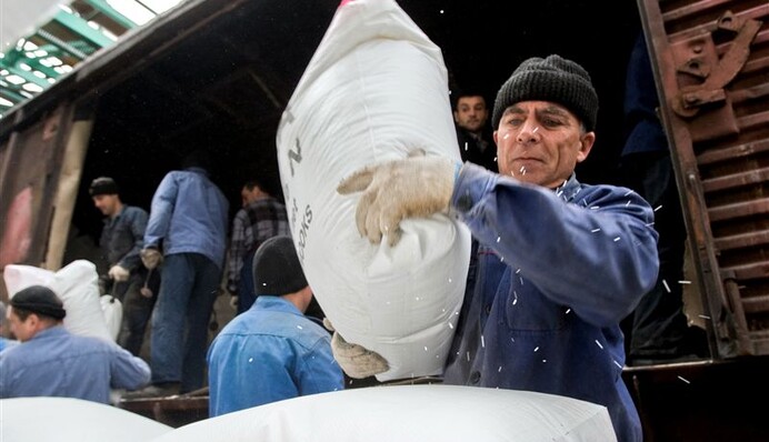 Удобрения не дадут всходы