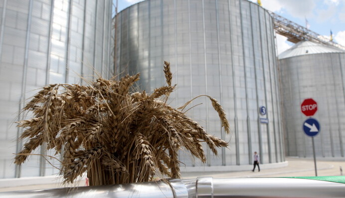 Верховная рада планирует вернуть возмещение НДС экспортерам зерна