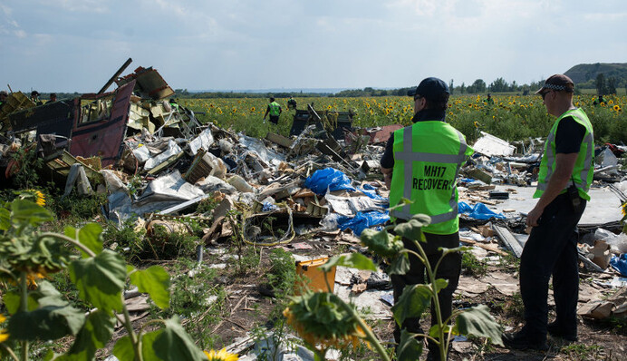 Прокуратура Нидерландов: рано утверждать, что Boeing был сбит зенитной ракетой