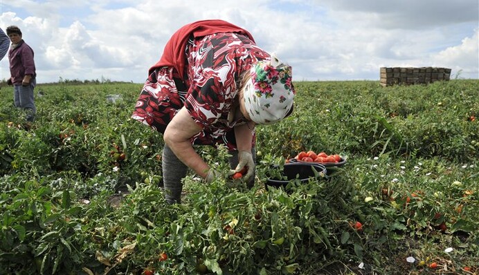 У аграриев могут забрать льготы: что будет с отраслью