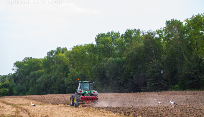Украинские предприятия массово отказываются платить по долгам