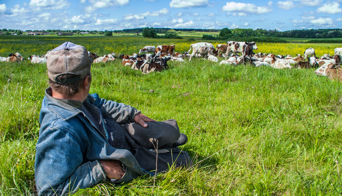 Почему из Украины уходят деньги: бизнес назвал главные проблемы