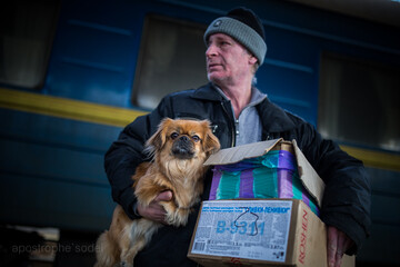 Как война повлияла на уровень смертности в Украине. Инфографика