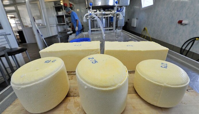 Россия может прекратить одну из торговых войн с Украиной