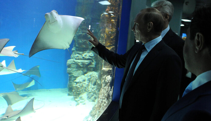 Путина никто не испугался, его ждет переворот