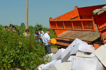 Чем уничтожение продуктов грозит Путину: выводы частной разведки США