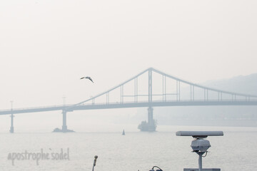 Дым в Киеве: новые фото, главные угрозы и советы, как защититься