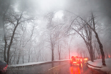 Зима пришла вовремя: яркие фото снегопада в Киеве