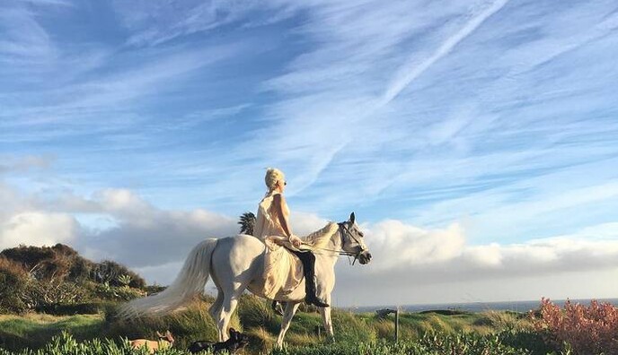 Леди Гага получила в подарок лошадь: опубликовано фото